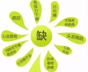 微量元素分析儀廠家告訴你人體必需的微量元素 微量元素分析儀廠家告訴你人體必需的微量元素